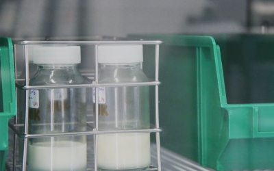 Donacions de llet materna | cedida